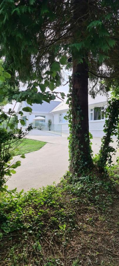 Annie'S House With Thermal Health Spa Moville Extérieur photo